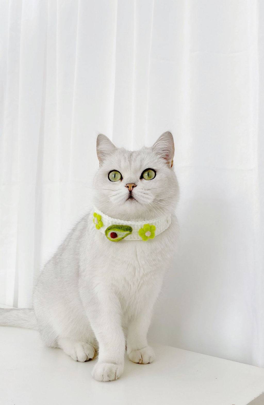 Pet Knitted Wool Felt Daisy Flower Bee Pumpkin Fruit Strap Cute Cat Collar Customization
