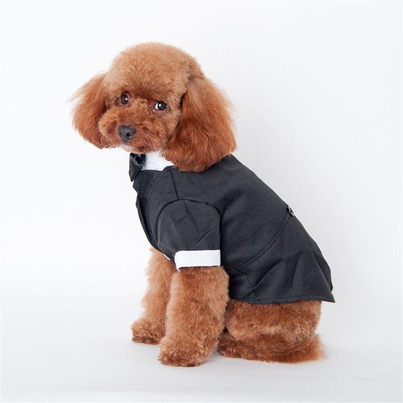 Teddy clothes Golden Retriever Satsuma Fall Winter Pet Suit