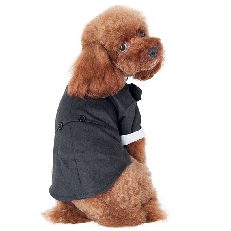 Teddy clothes Golden Retriever Satsuma Fall Winter Pet Suit