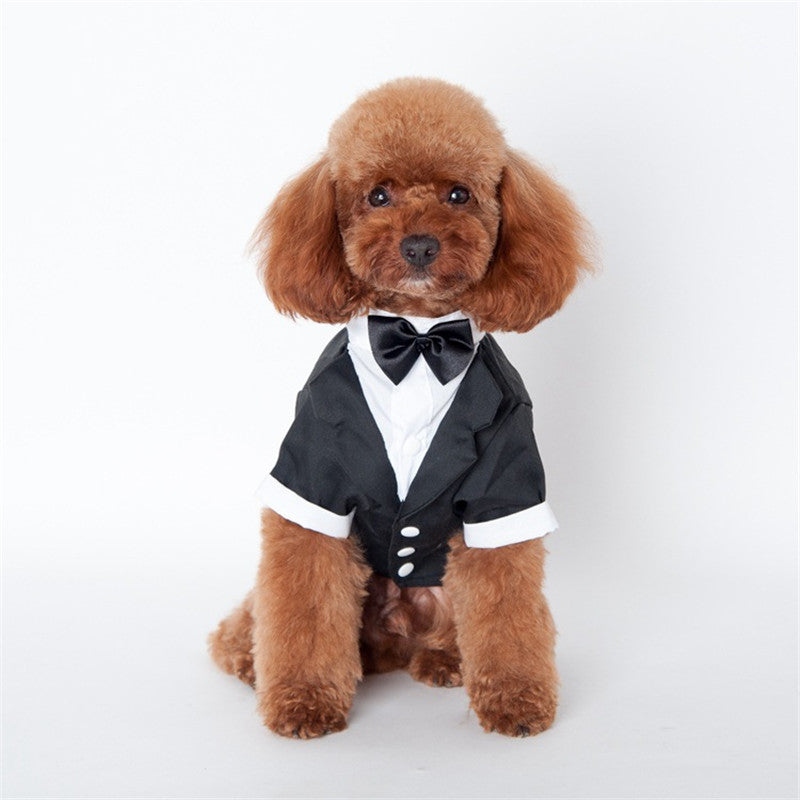 Teddy clothes Golden Retriever Satsuma Fall Winter Pet Suit