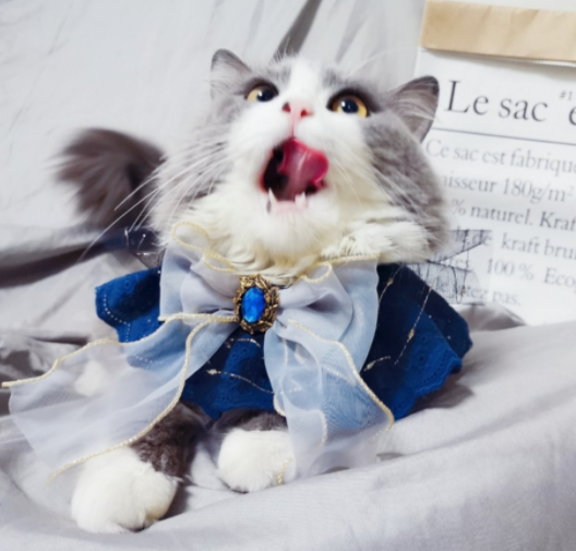 Pet Cats And Dogs Handmade Big Bow Sapphire Bib Bib Saliva Towel Temperament Fairy Collar Bib