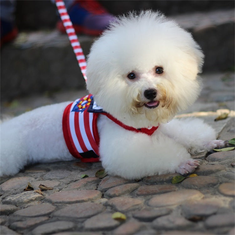 Pet VIP Chest Strap Set