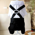 Teddy Dog British Bow Tie Suit Bib