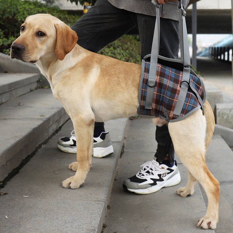 Assistive Belt For Pet Legs Hind Legs Postoperative Rehabilitation Belt For Elderly Dogs Assisted Walking Sling Leggings