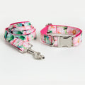 Dog Collar Dog Leash Pattern Set