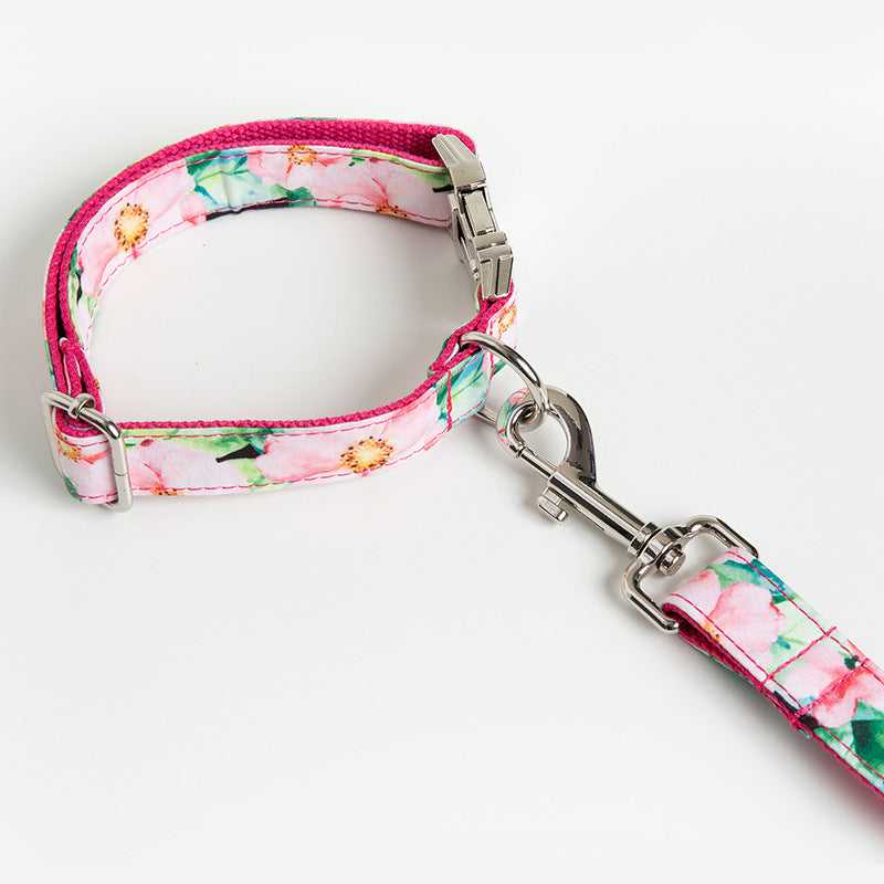 Dog Collar Dog Leash Pattern Set