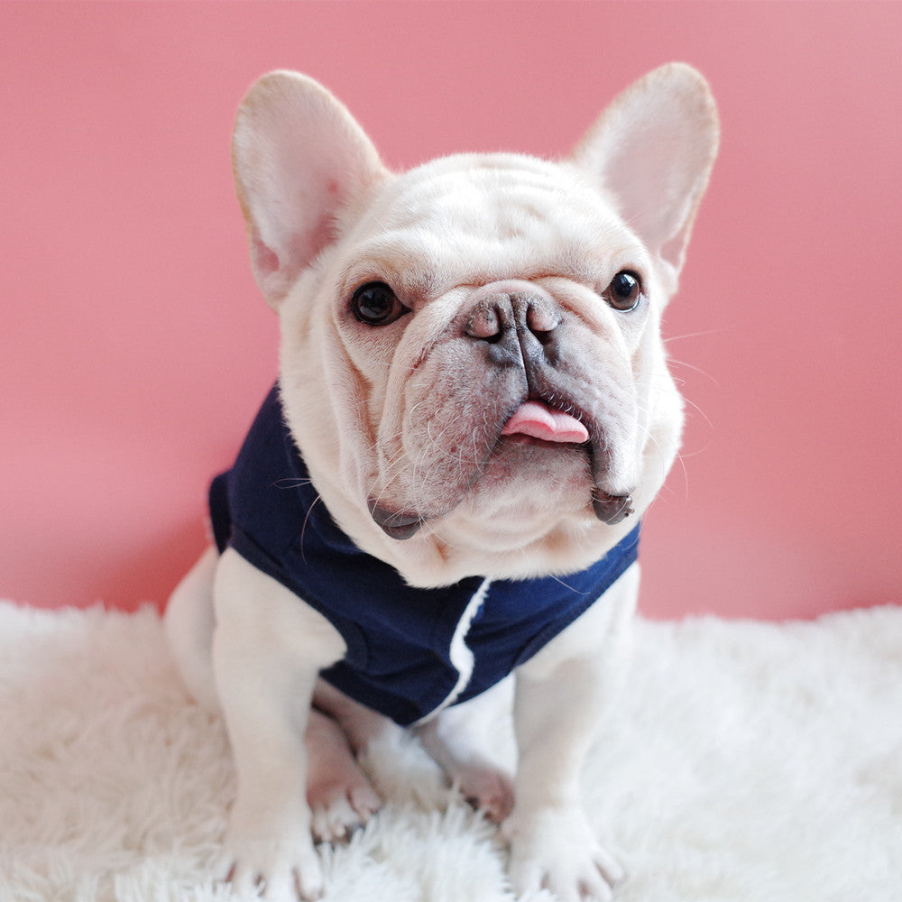 Pet Clothes, Dog Winter Clothes, Thickened Plus Velvet Vest, Warm Cotton Coat, Schnauzer