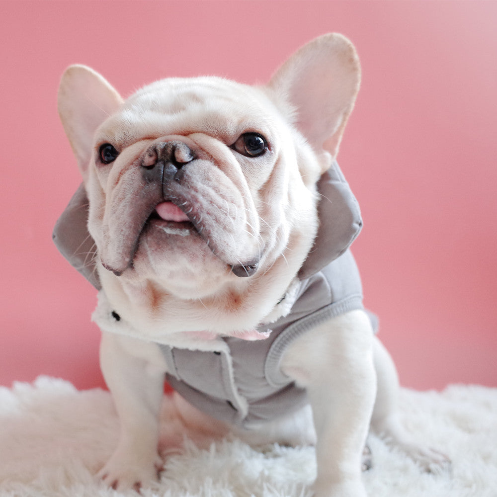 Pet Clothes, Dog Winter Clothes, Thickened Plus Velvet Vest, Warm Cotton Coat, Schnauzer