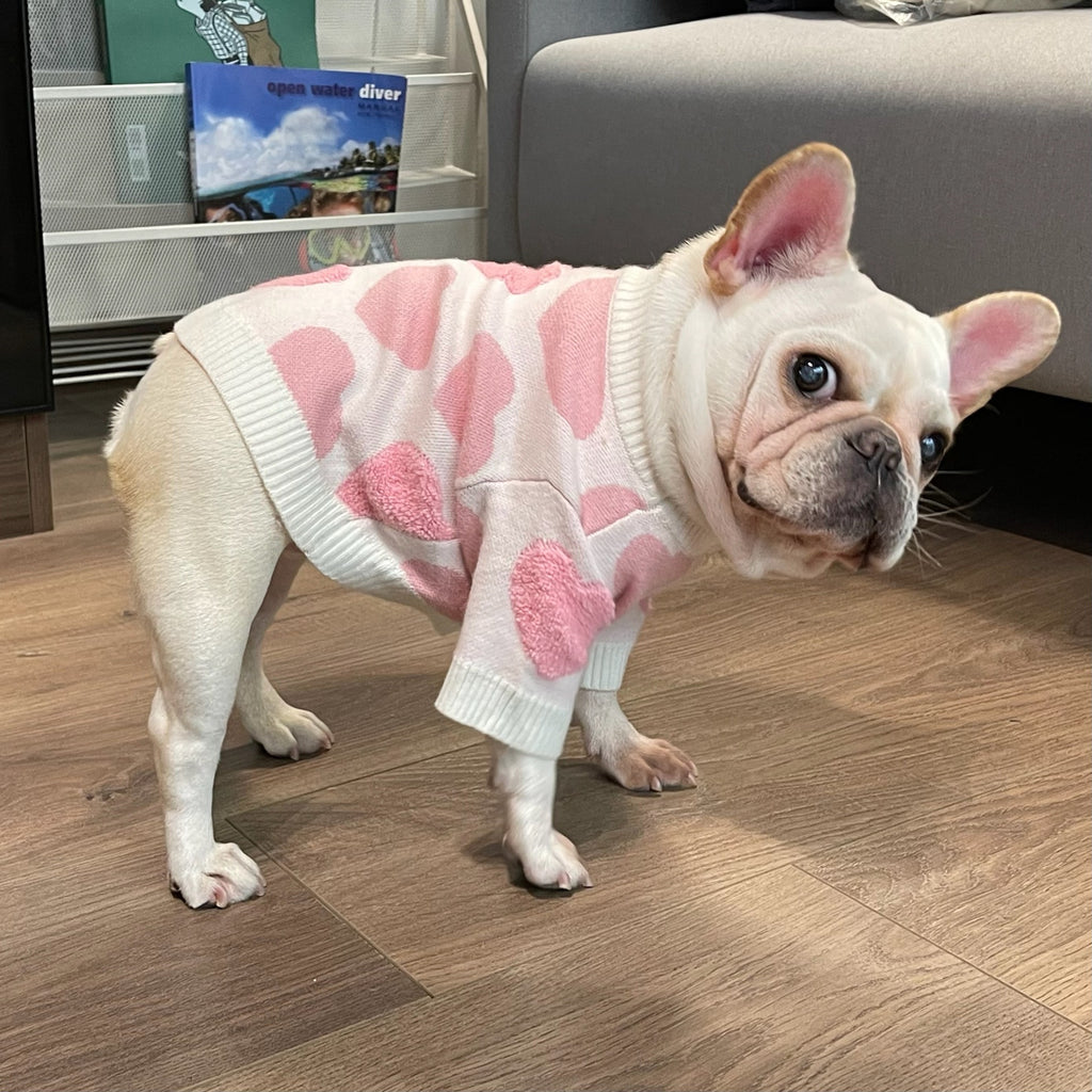 Clothes Dog Cat Fighting Teddy Schnauzer Puppy Fall Winter Sweater