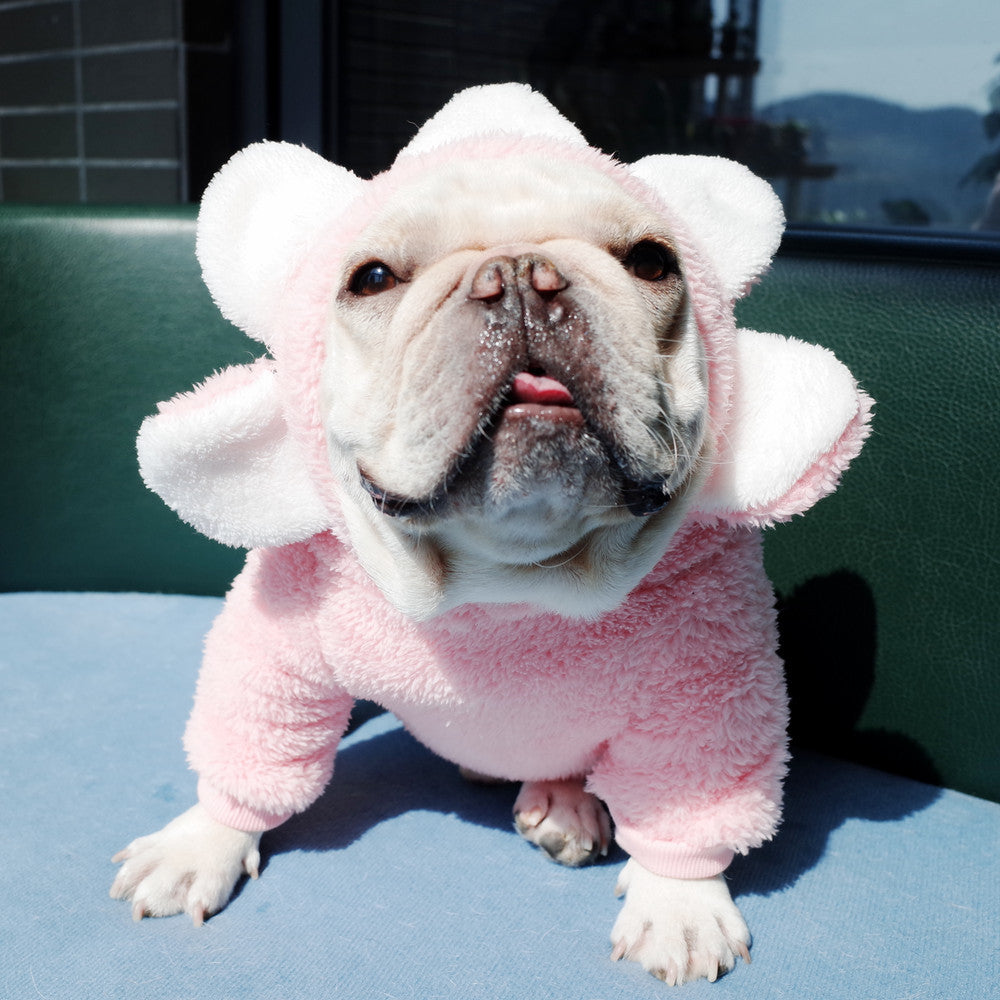 Dog Flower Sweater French Fighting Clothes Sun Flower Clothes Fleece Sweater