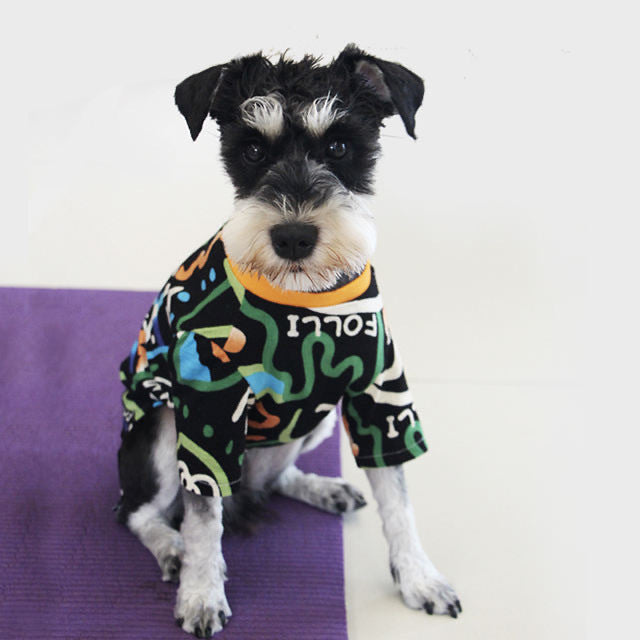 Pet Sweater Spring And Summer Household Dog Clothes