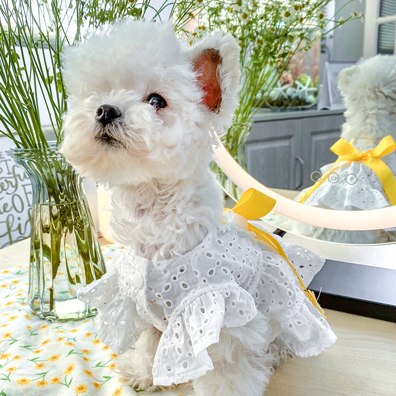 New Pet Dog Clothes Daisy Flower Skirt Hollow Bow Princess Dog Skirt