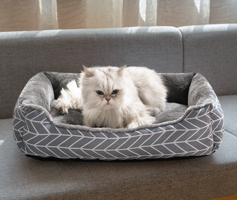 Doghouse Four Seasons Net Red Cat Teddy