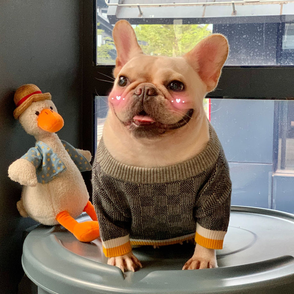 Autumn And Winter Sweater Sweater
