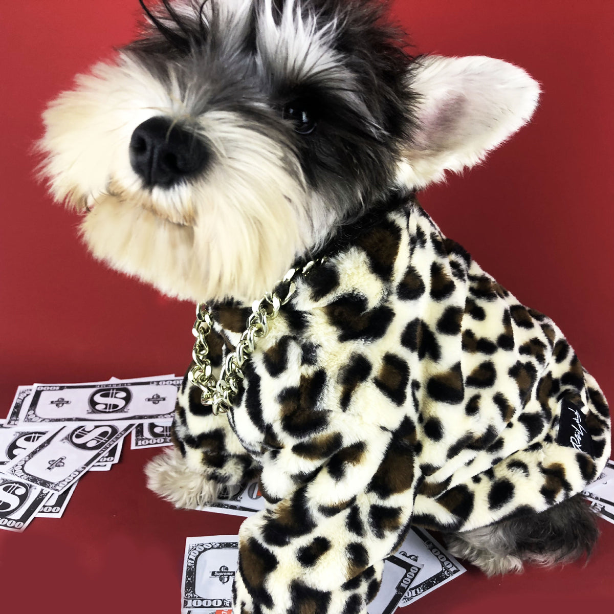 Dog clothes spring and autumn clothes leopard coat thickened Teddy Schnauzer Bomei Chihuahua pet tide brand clothing