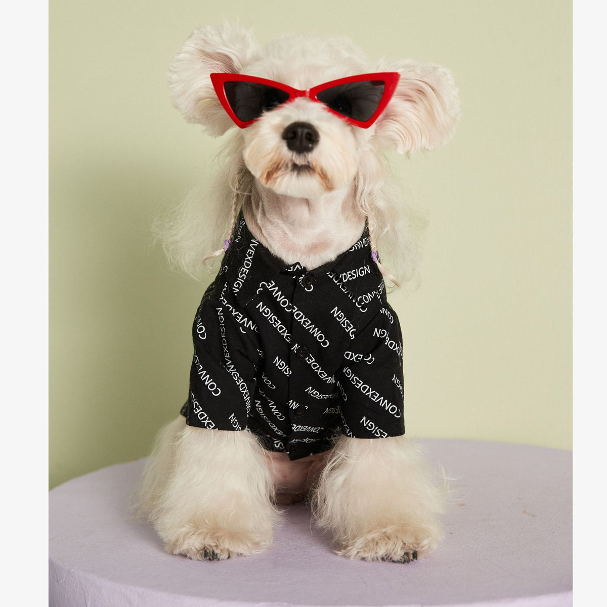 Shiba Inu Cat Bichon Dog Costume