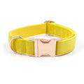 Rose Gold Buckle Yellow Velvet Dog Collar And Bow Tie Can Be Engraved Dog Collar Suit