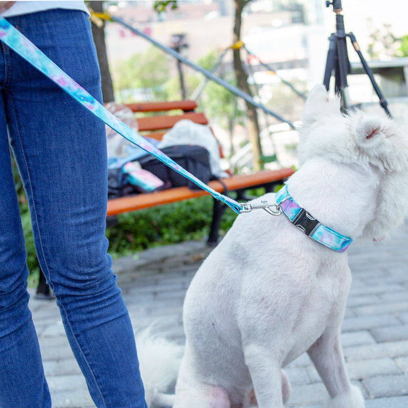 Durable Dog Collar Traction Belt