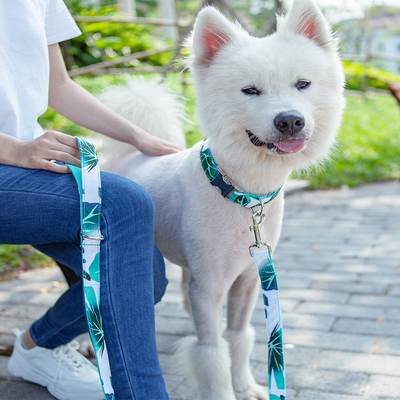 Pet Collar Traction Set Dog Collar Traction Belt Dog Rope Walking Set
