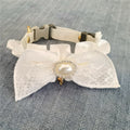 The New Lace And Bowknot Puppet Beauty Short British Short Pet Collar Adjustable Wedding Dress Cat Collar