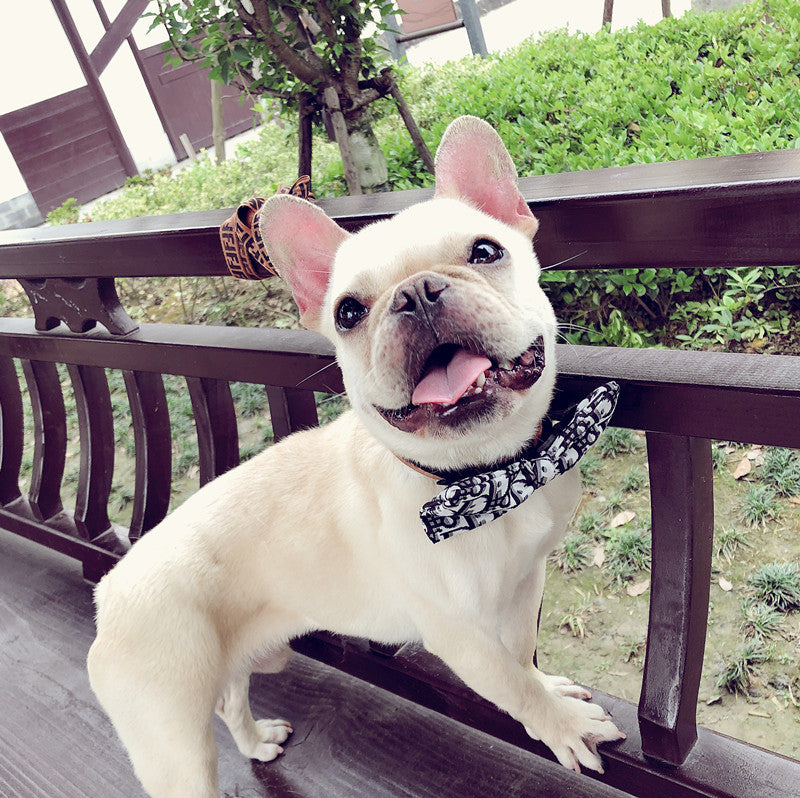 Pet Bow Tie Dog Bow Tie Removable Handsome And Customizable Collar