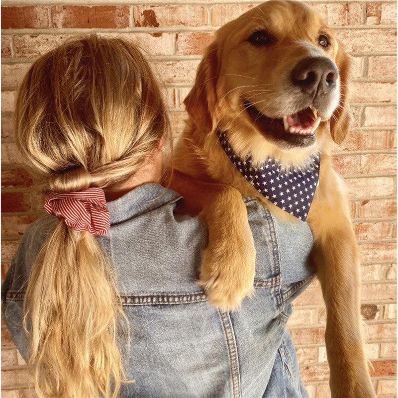 Pet Triangle Collar Owner's Hair Tie Headdress