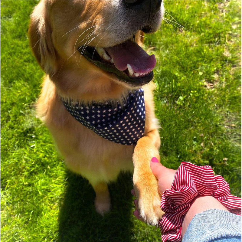 Pet Triangle Collar Owner's Hair Tie Headdress