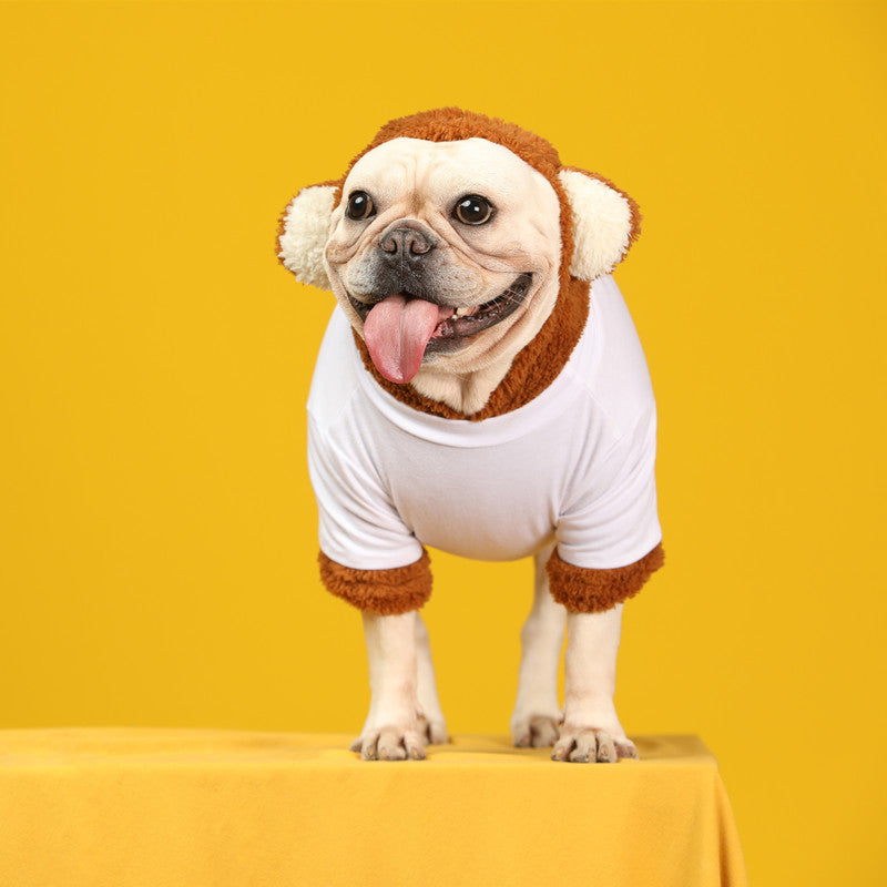 Pet Tide Brand Little Bear Transformed Into Two-Piece Suit