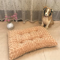 Rose Plush Pet Mat Plush Cat And Dog Mat