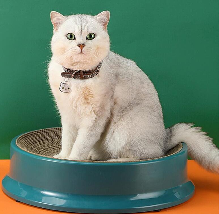 Replaceable Corrugated Paper Scratch Resistant Cat Litter Plastic