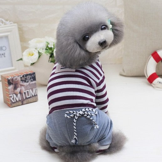 Bichon Schnauzer Milk Dog Dress