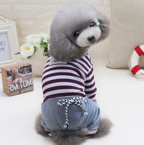 Bichon Schnauzer Milk Dog Dress