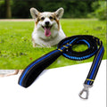 Pet Dog High Elastic Traction Rope Strong Fastener Big Dog Special Traction Rope Spot Wholesale
