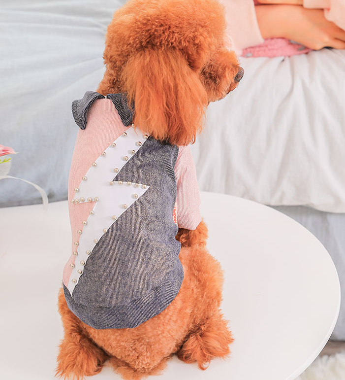 Small dog clothes cotton coat