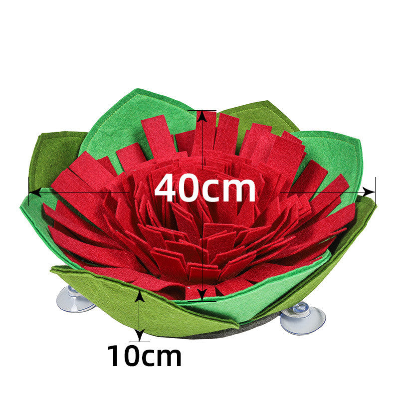 Dog weight loss training blanket