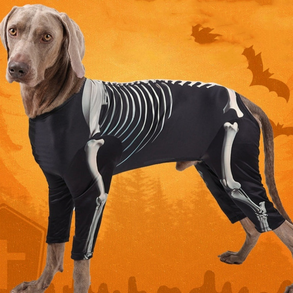 Transformation Dress Up Comfortable Pet Dog Halloween Clothes
