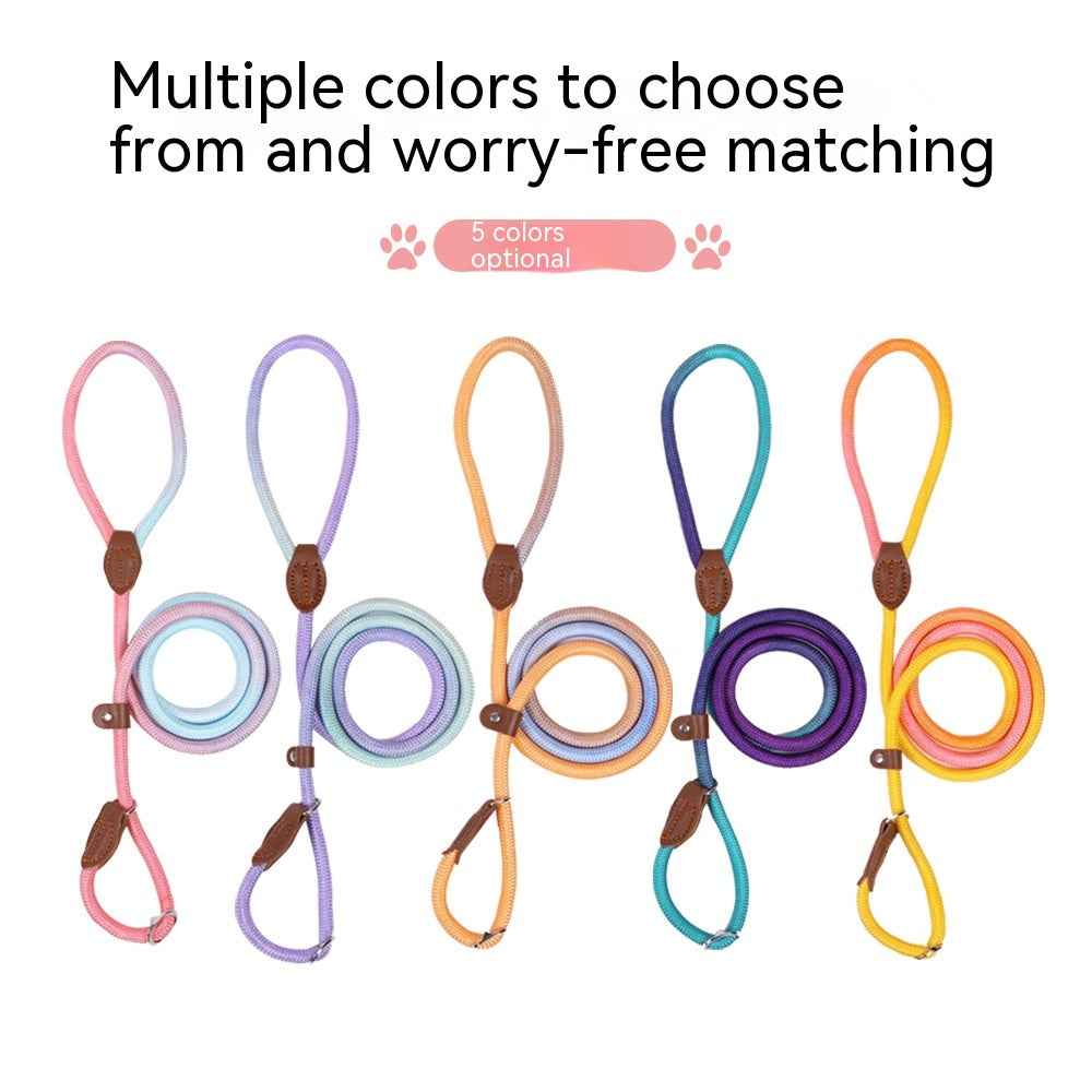 Colorful Durable Bold Nylon Pet Hand Holding Rope