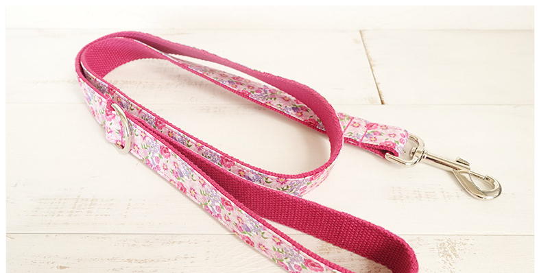 Classic Leash Set