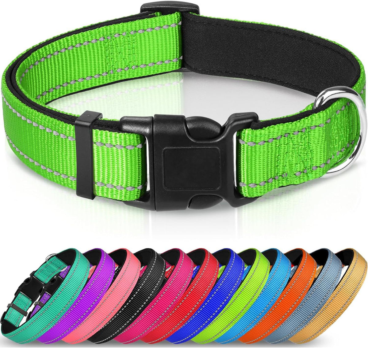 Adjustable Reflective Nylon Webbing Dog Collar