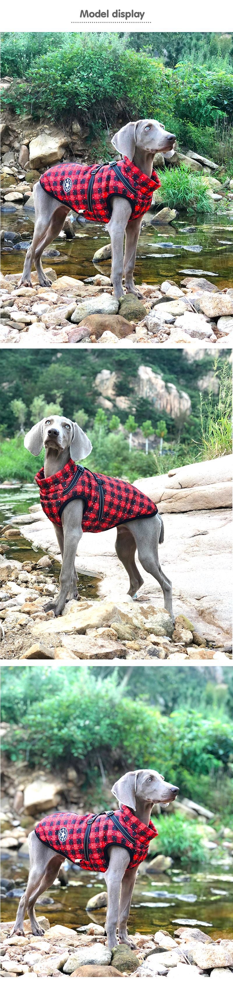 New Pet Reflective Cotton-padded Coat