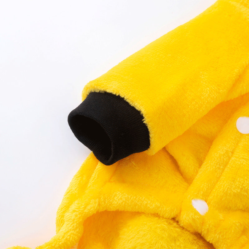 Autumn And Winter Thermal Coral Fleece Transformation Lion Dog Clothes