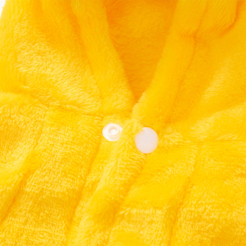 Autumn And Winter Thermal Coral Fleece Transformation Lion Dog Clothes