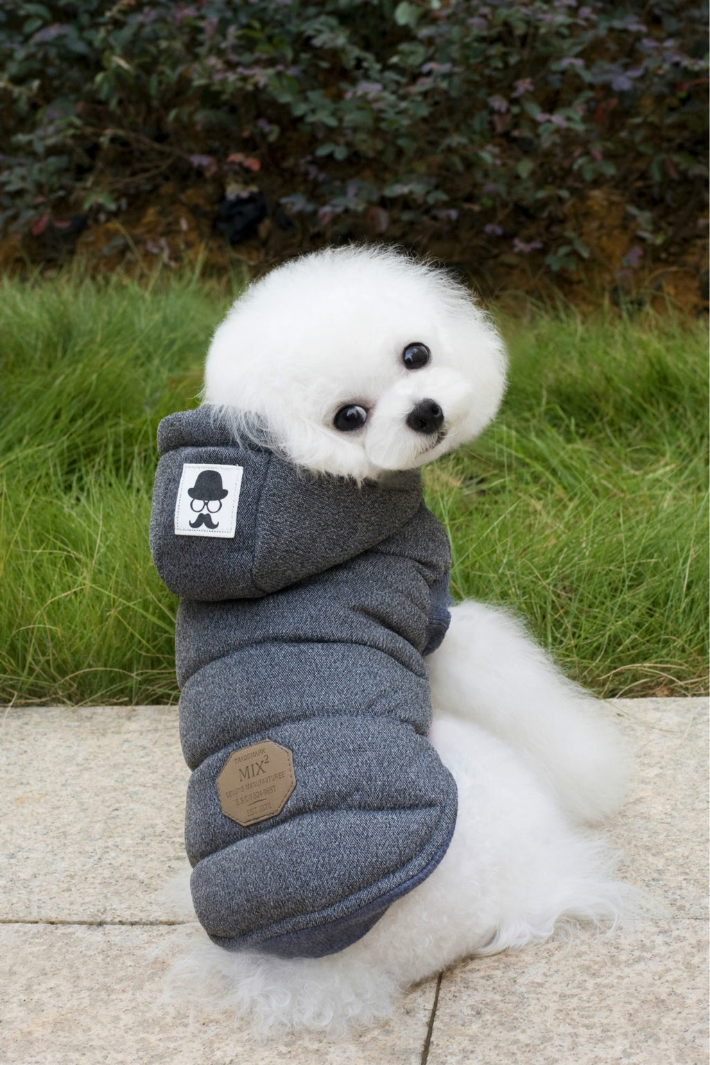 Teddy Pet Clothing Two-leg Cotton-padded Clothes
