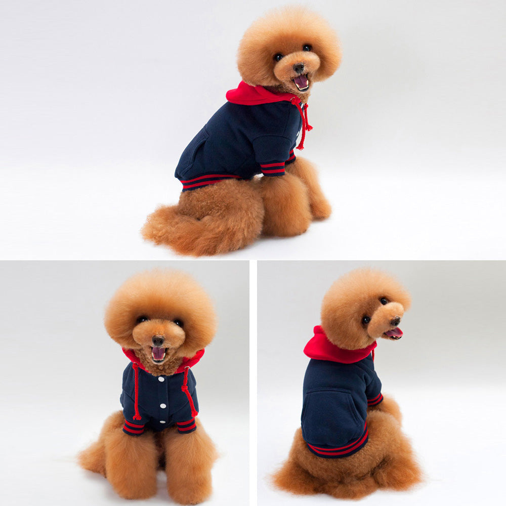 Pet sweater color matching Hoodie