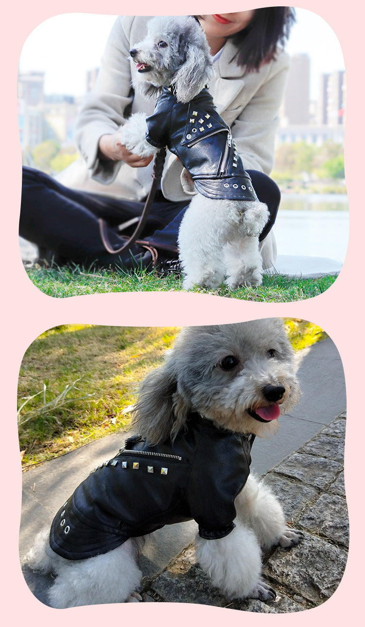 Pet Leather Coat Dog Fashion Brand Clothes Korean Style Autumn And Winter Cat Teddy Chihuahua Winter Clothing