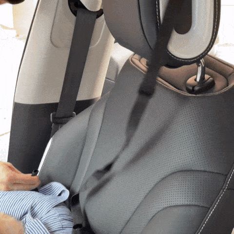 Car Kennel Pet Co-driving Seat Multi-purpose Outing