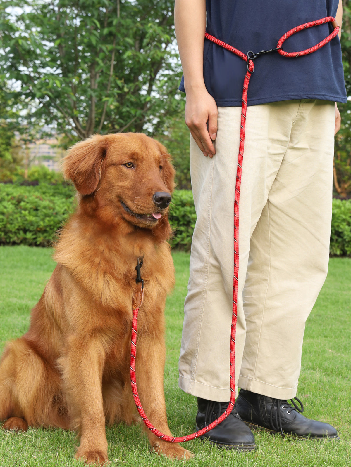 Pet Multifunctional Adjustable Reflective Hand Holding Rope