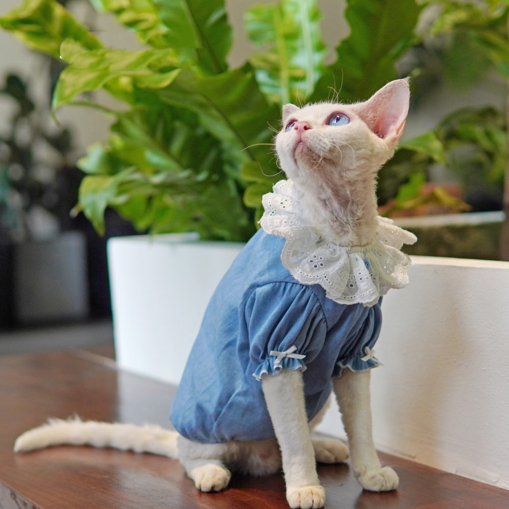 Sphynx Cat Summer Blue Dress With Lace Collar Lightweight Skin-Friendly Apparel For Hairless Cats And Devon Rex