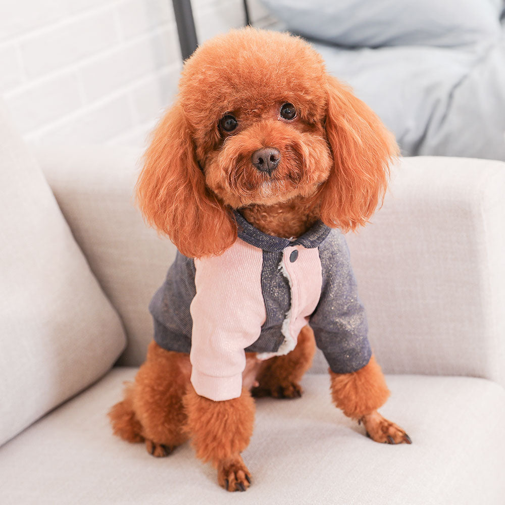 Small dog clothes cotton coat
