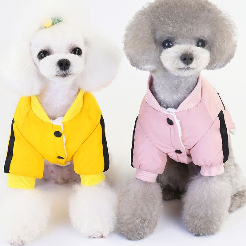 Sports two-legged pet clothes